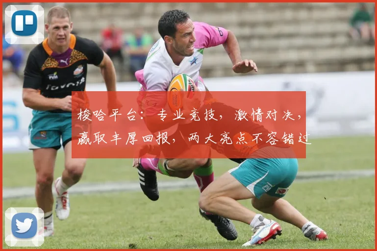 梭哈平台：专业竞技，激情对决，赢取丰厚回报，两大亮点不容错过