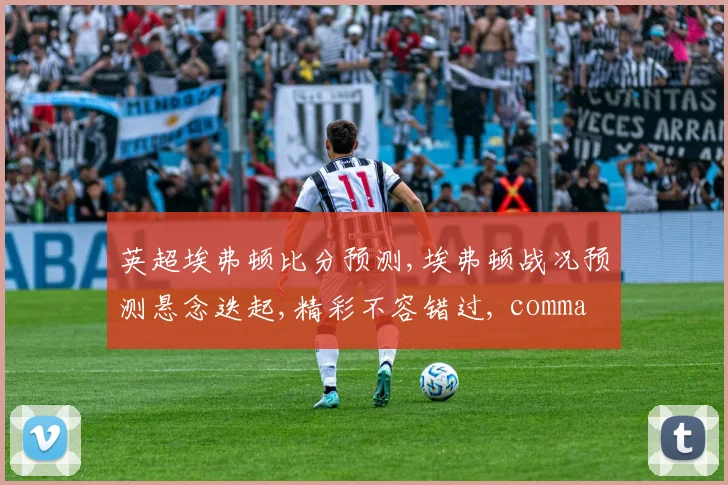英超埃弗顿比分预测,埃弗顿战况预测悬念迭起,精彩不容错过, comma,谁能笑到最后