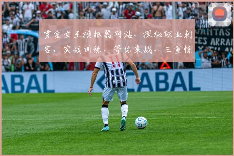 赏金女王模拟器网站，探秘职业刺客，实战训练，等你来战，三重惊喜，不容错过